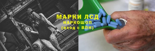 прущие грибы Верея