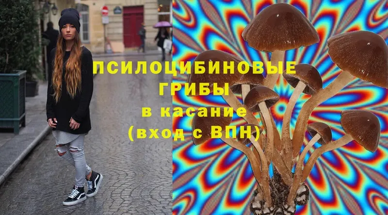 Галлюциногенные грибы Magic Shrooms  Лесозаводск 